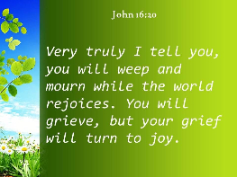 5th Sunday of easter