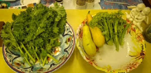 Garden 12