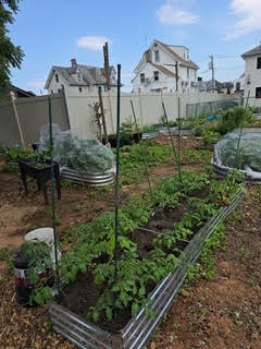 Garden 7