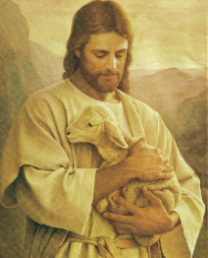 Good Shepherd