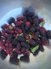 berries