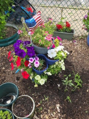 flowers 2