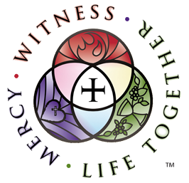 witness logo color